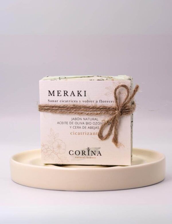 Meraki